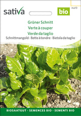 Sativa Schnittmangold Grüner Schnitt
