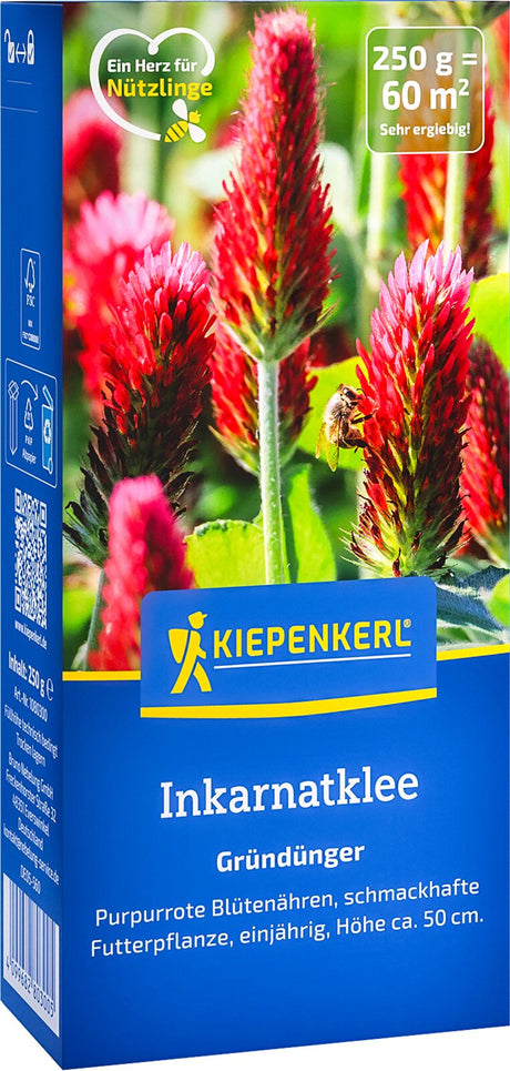 Kiepenkerl Gründünger Inkarnatklee