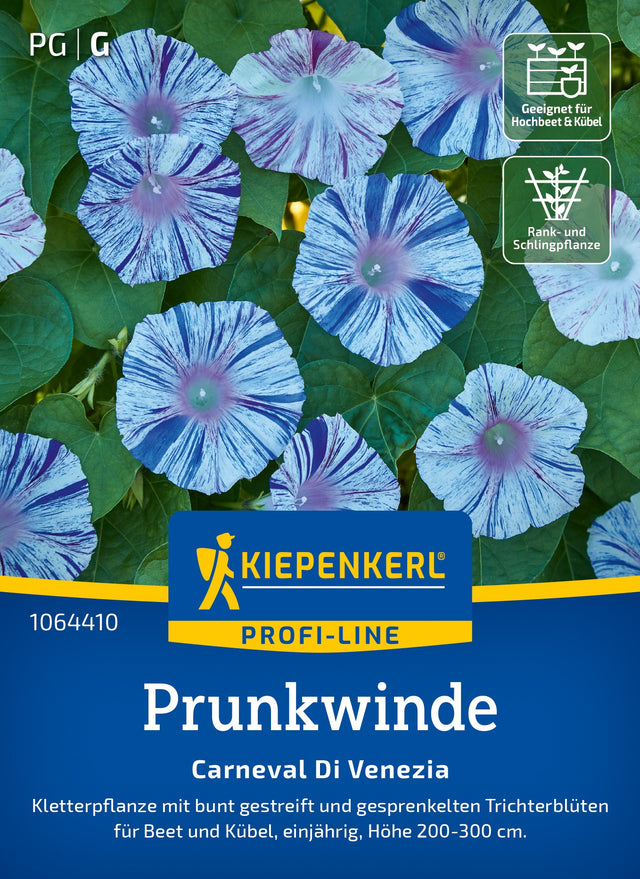 Kiepenkerl Prunkwinden Carneval Di Venezia