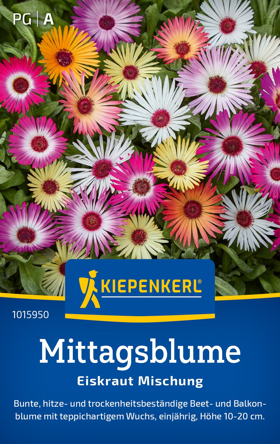 Kiepenkerl Mittagsblumen Eiskraut Mischung