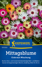 Kiepenkerl Mittagsblumen Eiskraut Mischung