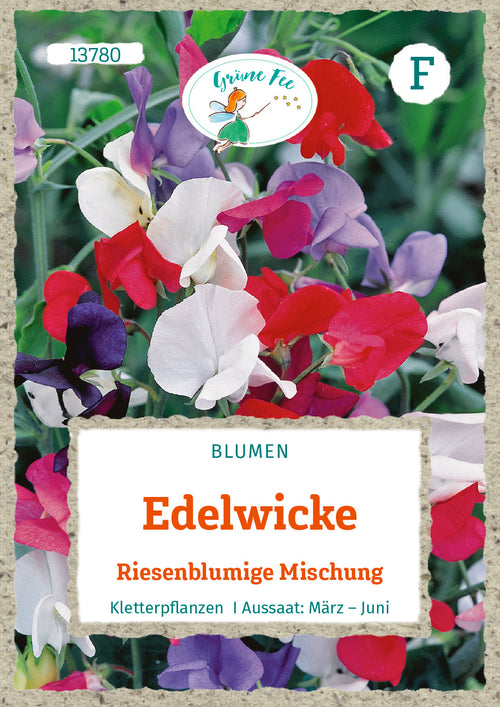Grüne Fee Edelwicke Riesen-Prachtmischung