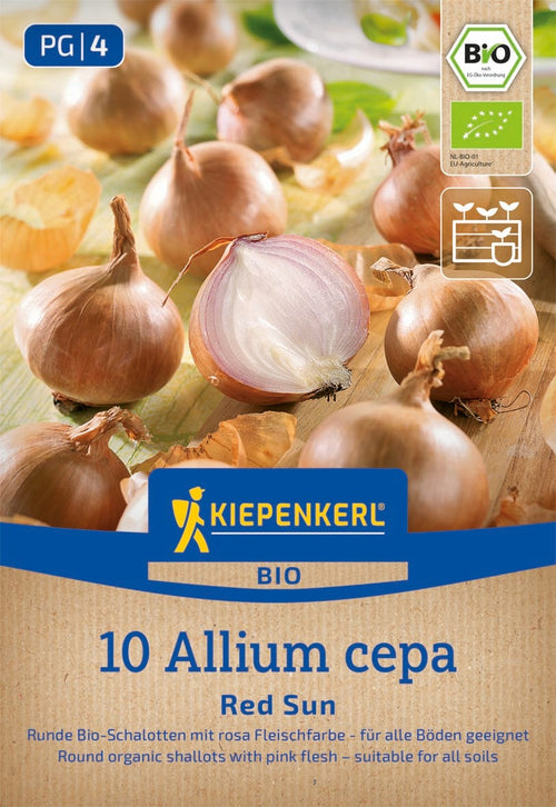 Kiepenkerl BIO Schalotte Red Sun 10 Stück
