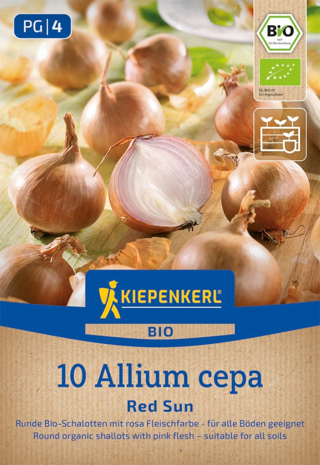Kiepenkerl BIO Schalotte Red Sun 10 Stück