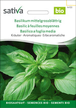 Sativa Basilikum mittelgrossblättrig