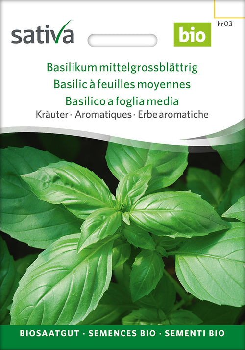 Sativa Basilikum mittelgrossblättrig
