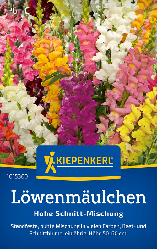 Kiepenkerl Löwenmäulchen Hohe Schnitt-Mischung