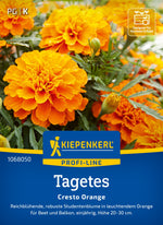 Kiepenkerl Studentenblumen Cresto Orange