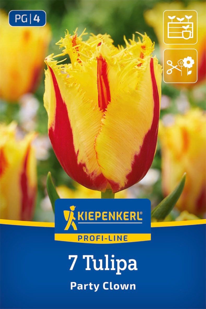 Profi-Line Gefranste Tulpe Party Clown