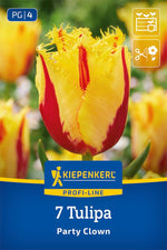 Profi-Line Gefranste Tulpe Party Clown