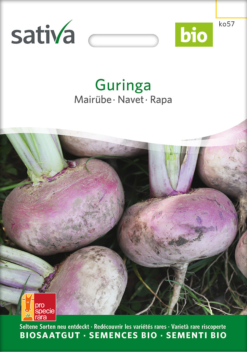 Sativa Mairübe Guringa