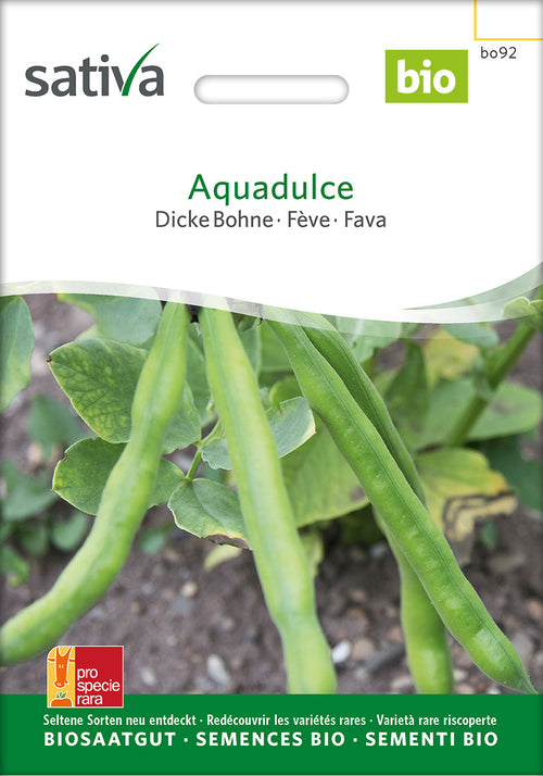 Sativa Dicke Bohne Aquadulce