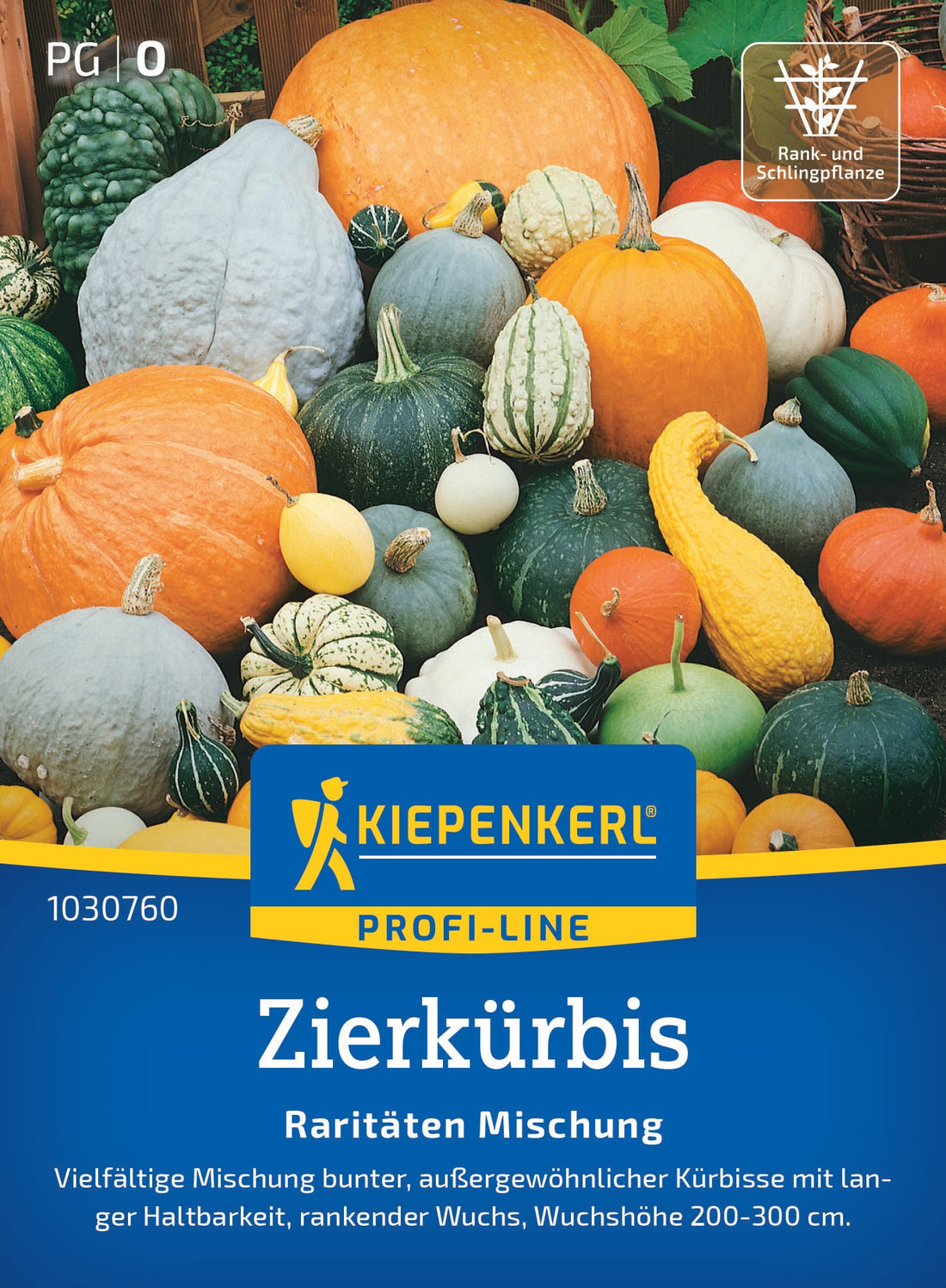 Kiepenkerl Kürbis Raritäten Mischung