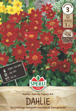 SPERLI Dahlie Dahlie Topmix Red