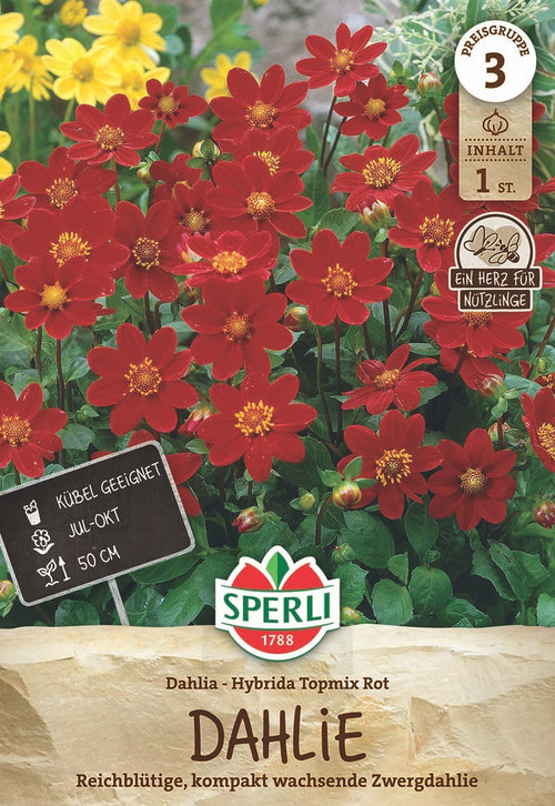 SPERLI Dahlie Dahlie Topmix Red