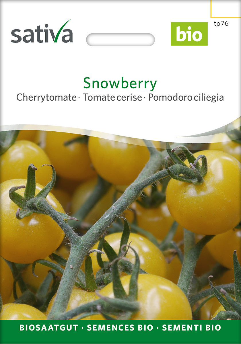 Sativa Cherrytomate Snowberry