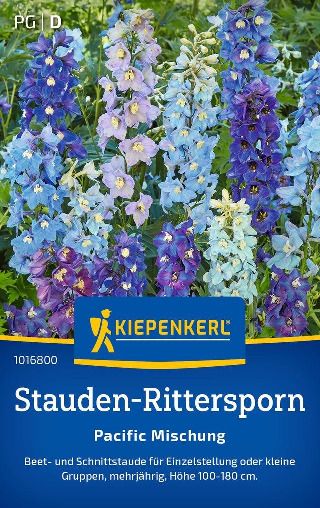 Kiepenkerl Rittersporn Pacific Mischung