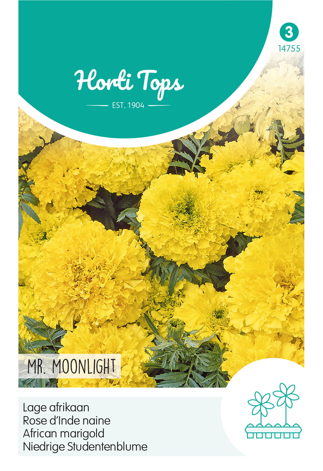 Horti Tops Aufrechte Studentenblume Nana Moonlight Hellgelb