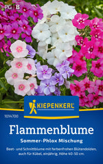 Kiepenkerl Flammenblumen Sommer-Phlox Mischung