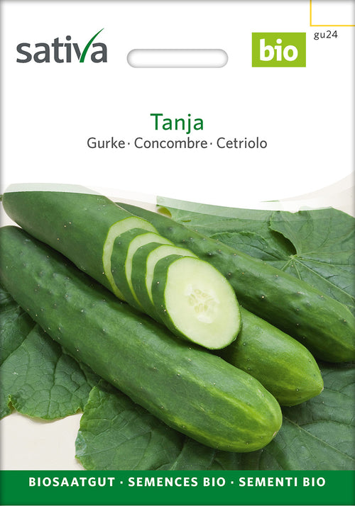 Sativa Gurke Tanja