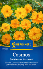 Kiepenkerl Schmuckkörbchen Sulphureus Mischung
