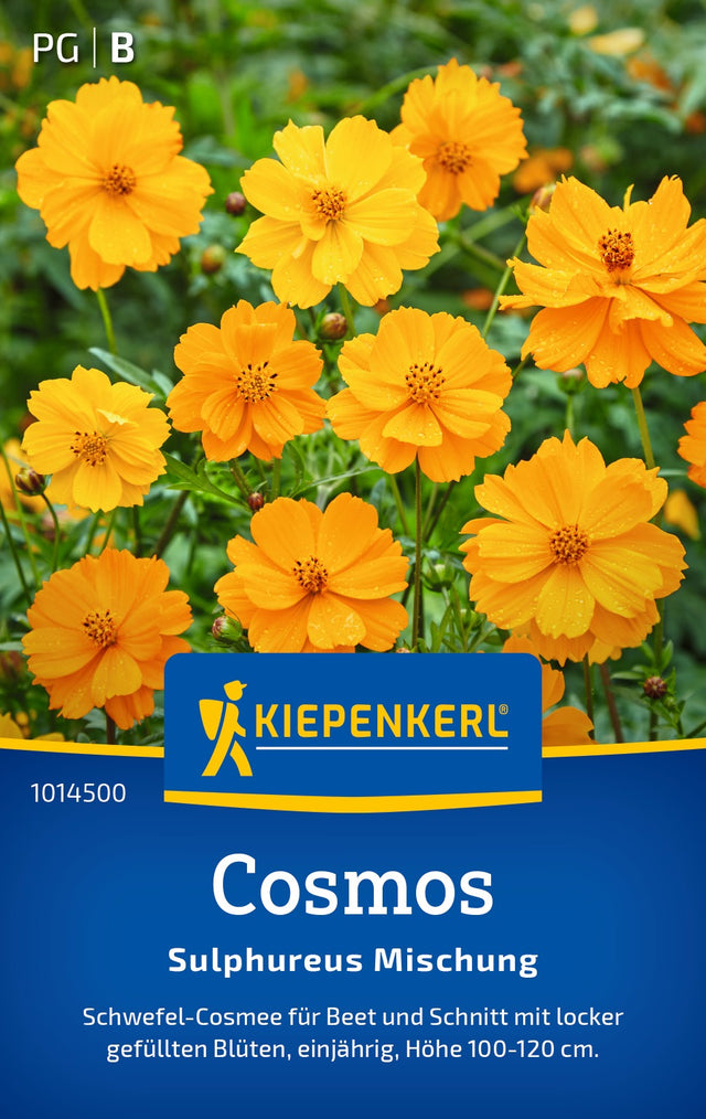Kiepenkerl Schmuckkörbchen Sulphureus Mischung