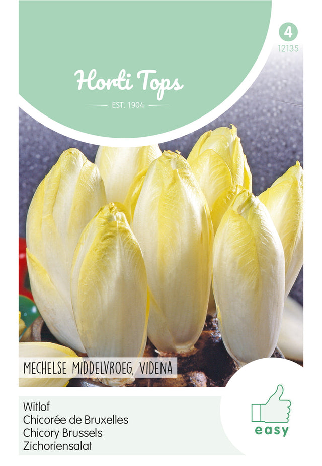 Horti Tops Zichoriensalat Brüsseler Witloof