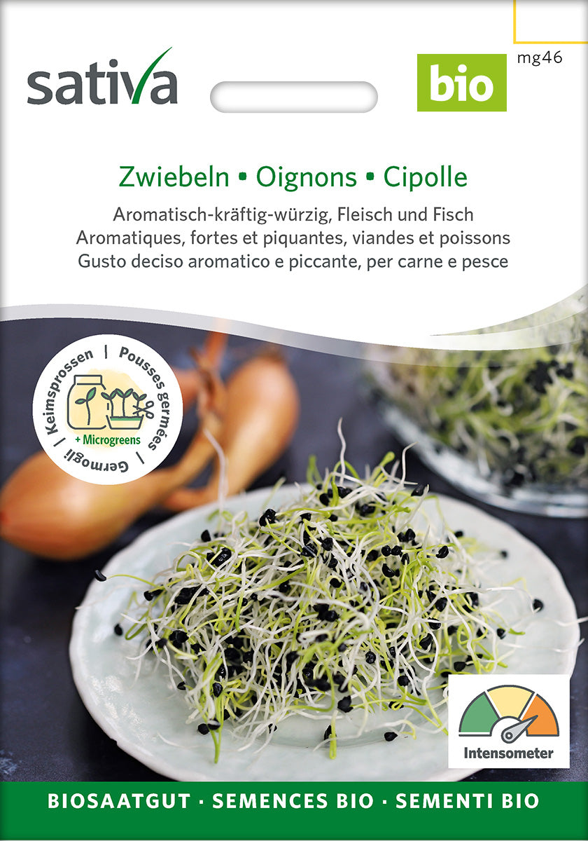 Sativa Keimsprossen Zwiebeln