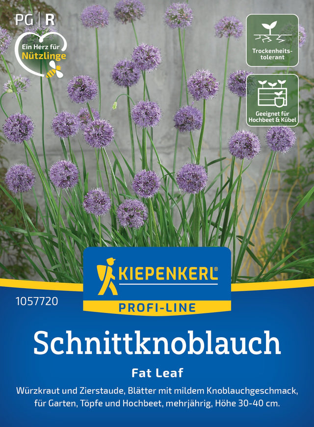 Kiepenkerl Schnittknoblauch Fat Leaf