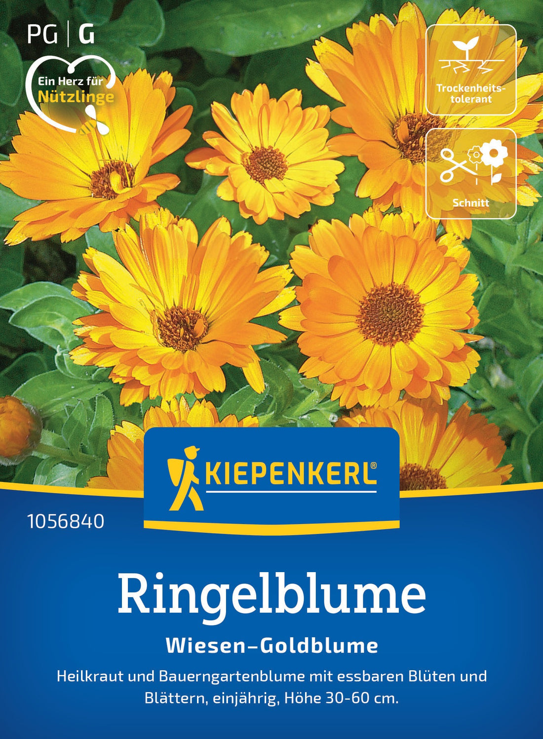 Kiepenkerl Ringelblumen Wiesen-Goldblume