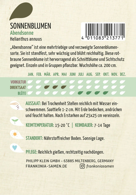 Frankonia Samen Sonnenblumen Abendsonne