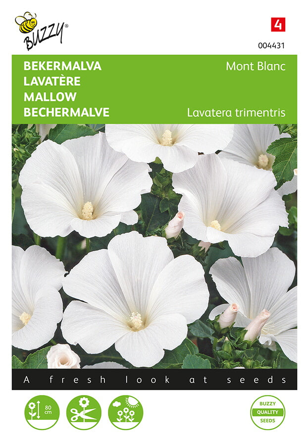Buzzy Seeds Bechermalve Mont Blanc