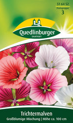 Quedlinburger Trichtermalve grossblumige Mischung