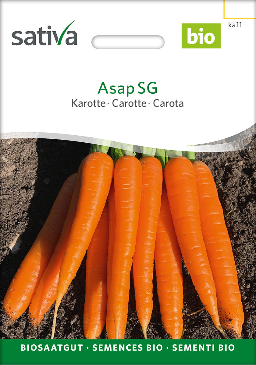 Sativa Karotte Asap SG