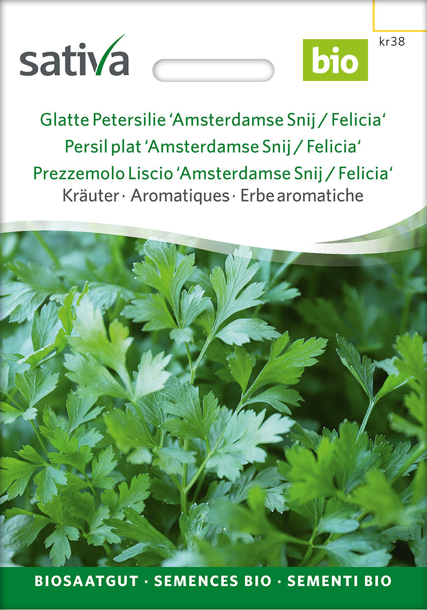 Sativa Glatte Petersilie Amsterdamse Snij / Felicia
