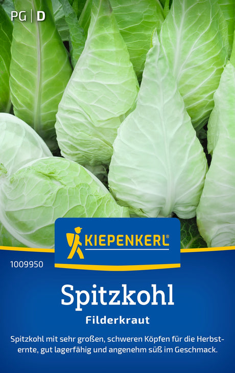 Kiepenkerl Kohl Filderkraut