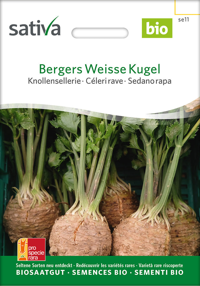 Sativa Knollensellerie Bergers Weisse Kugel