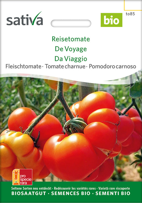 Sativa Fleischtomate Reisetomate