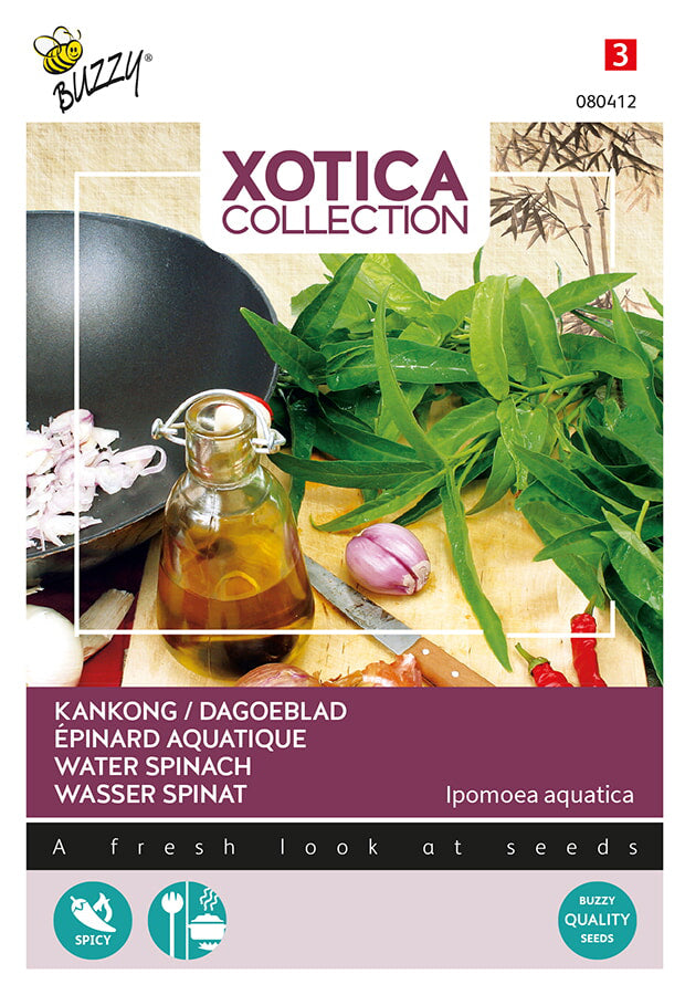 Buzzy Seeds Kankong  Wasser Spinat