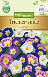 N.L. Chrestensen Convolvolvulus tricolor Mischung