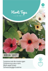 Horti Tops Schwarzäugige Susanne African Sunset