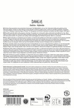SPERLI Dahlie Dahlie Crème de Cognac