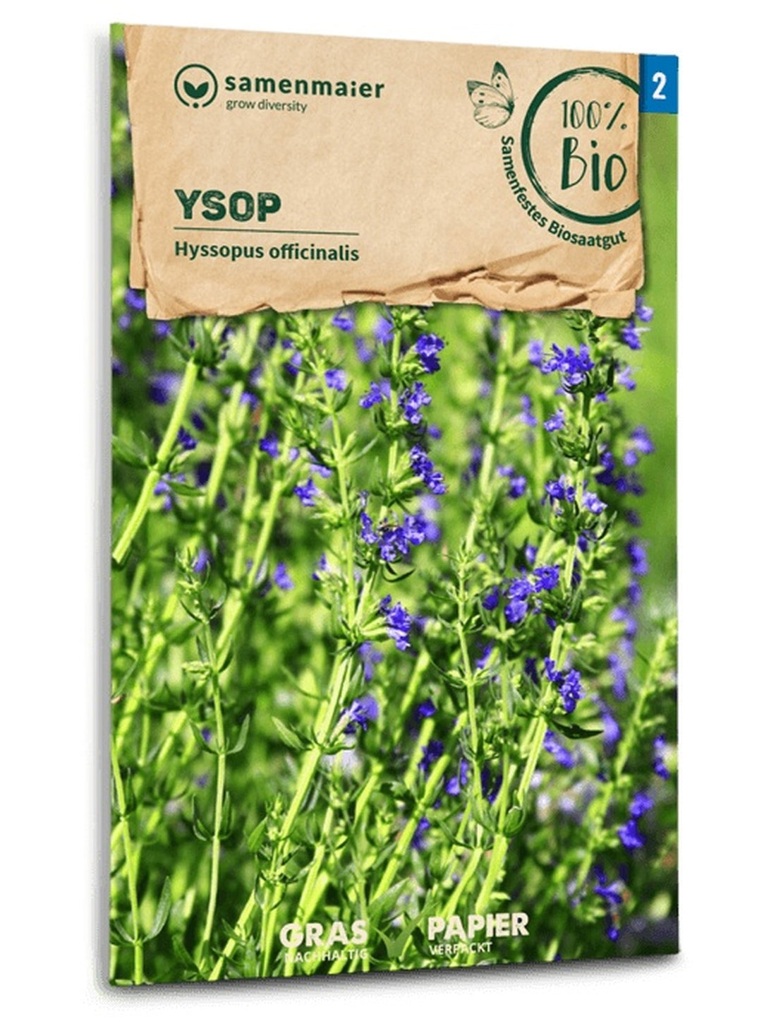 Samen Maier BIO Ysop mehrjährig