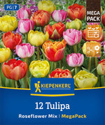 Mega-Pack Gefüllte späte Tulpen Rosentulpen-Mischung