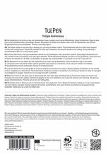 Premium Fosteriana-Tulpe Flames Mystery