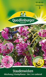 Quedlinburger Wicke Mischung, mehrjährig