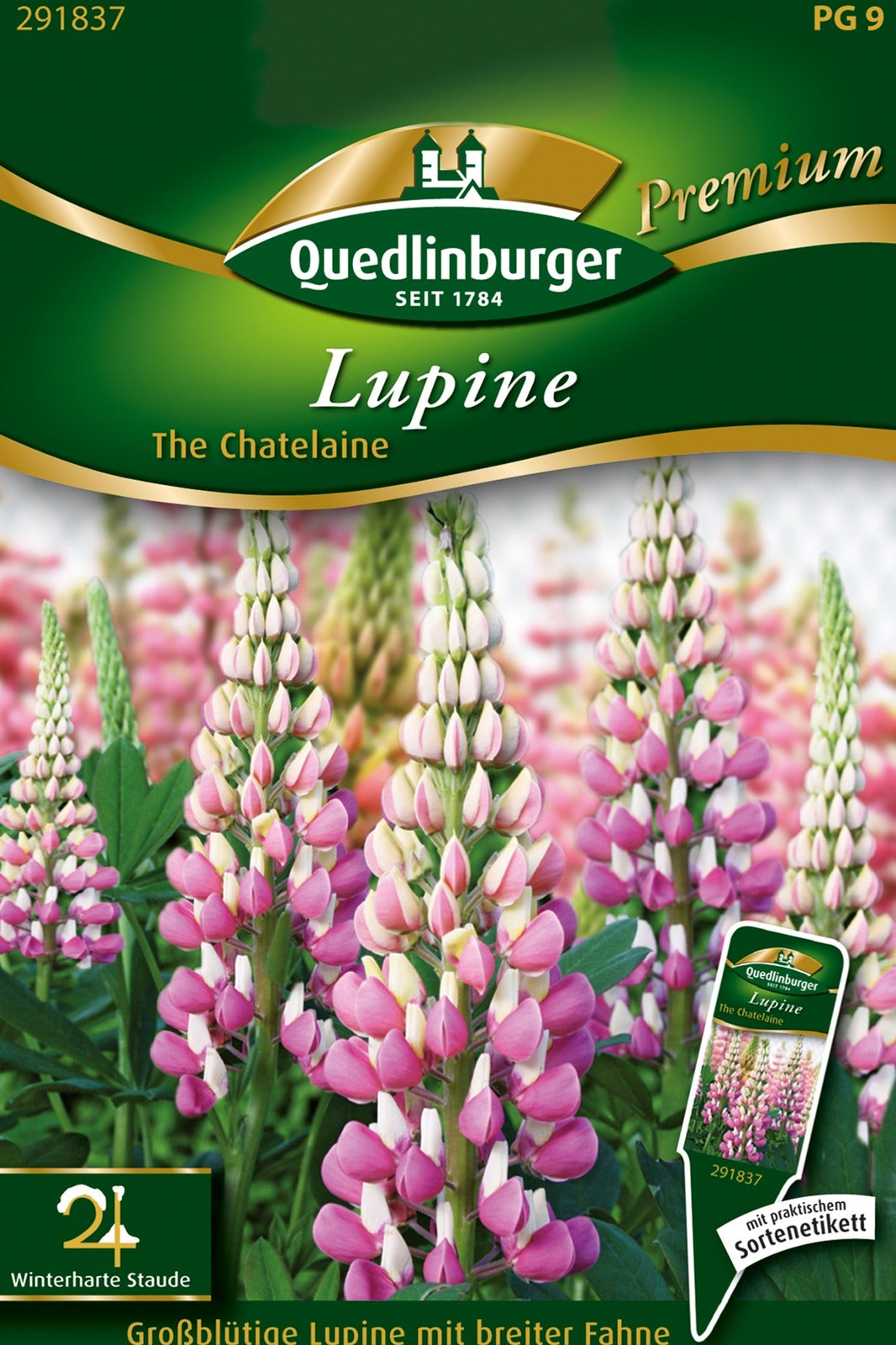 Quedlinburger Lupine The Chatelaine