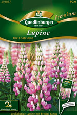 Quedlinburger Lupine The Chatelaine