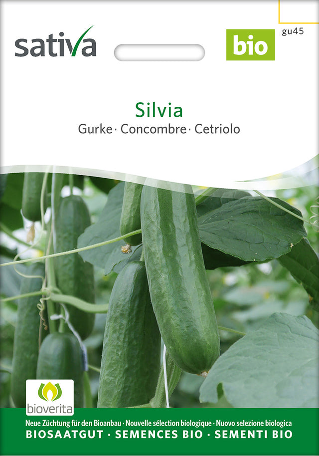 Sativa Gurke Silvia