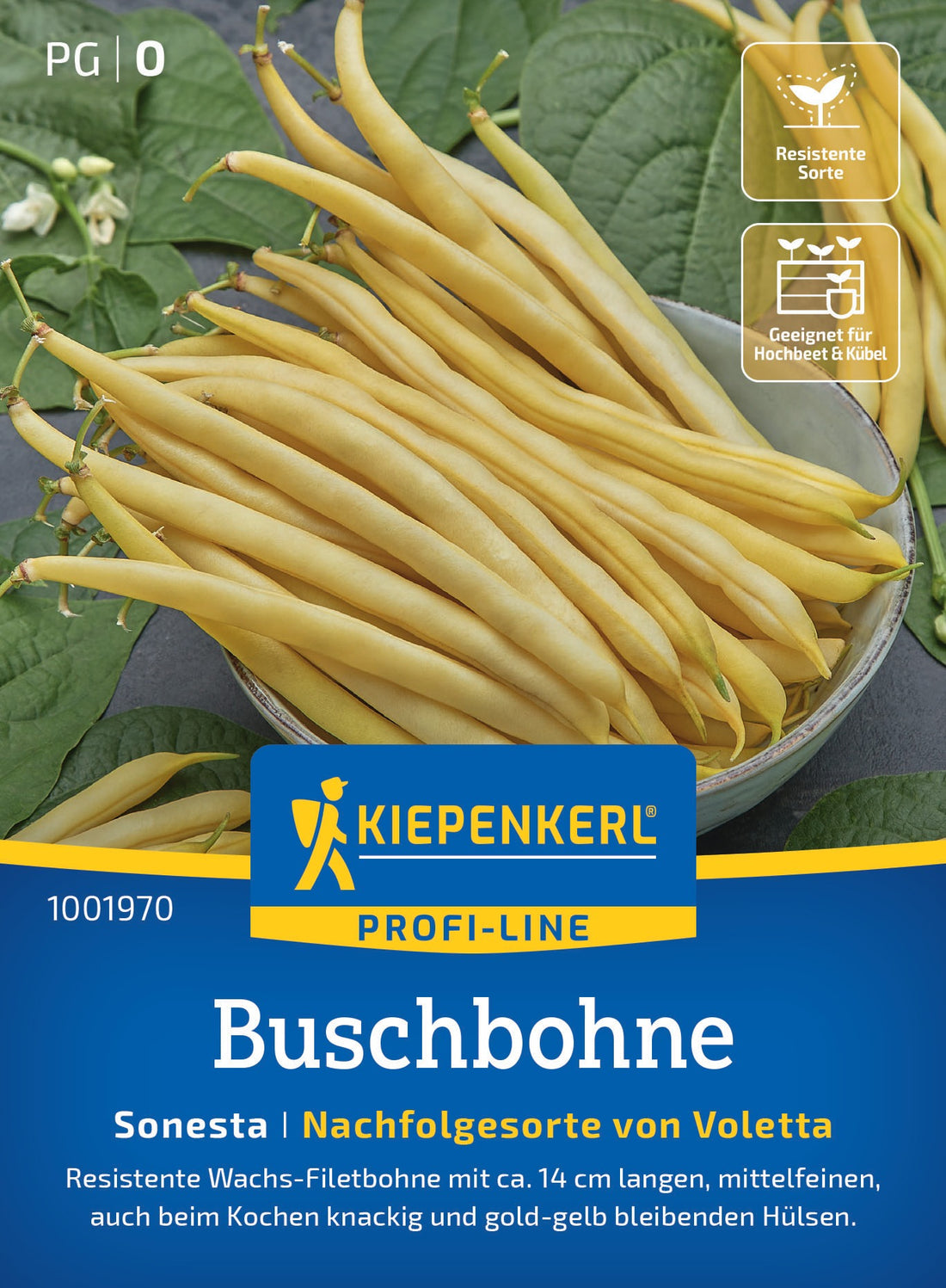 Kiepenkerl Buschbohnen Sonesta